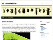 Tablet Screenshot of endless-swarm.com